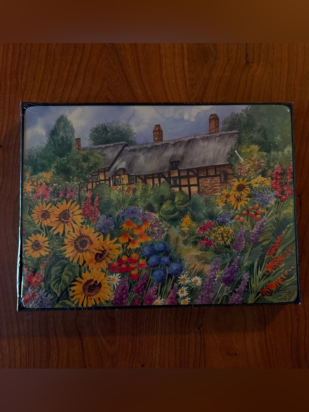 BRAND NEW Shakespeare Birthplace Trust Anne Hathaway Cottage Table Mats